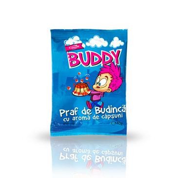 budinca_capsuni_1
